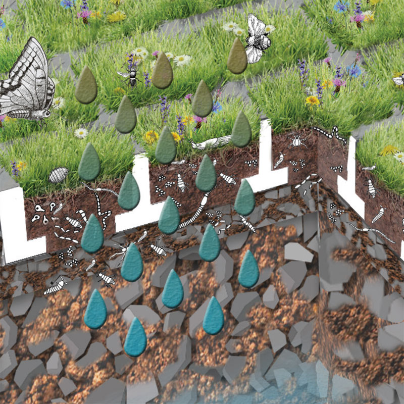 Regenwaterbehandeling met TTE® GRÜN door CO2-binding, fijnstofbinding. Leefruimte voor biodiversiteit en bodemleven.